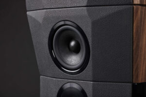 Custom-made drive units made only for the Dragon Legacy project, ensure the electrical parameters have been refined and specified to suit the mechanical and acoustic design.