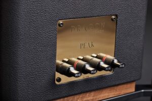 Bi-wire Argento™ speaker terminals deliver audiophile-quality performance with resonance-free construction.